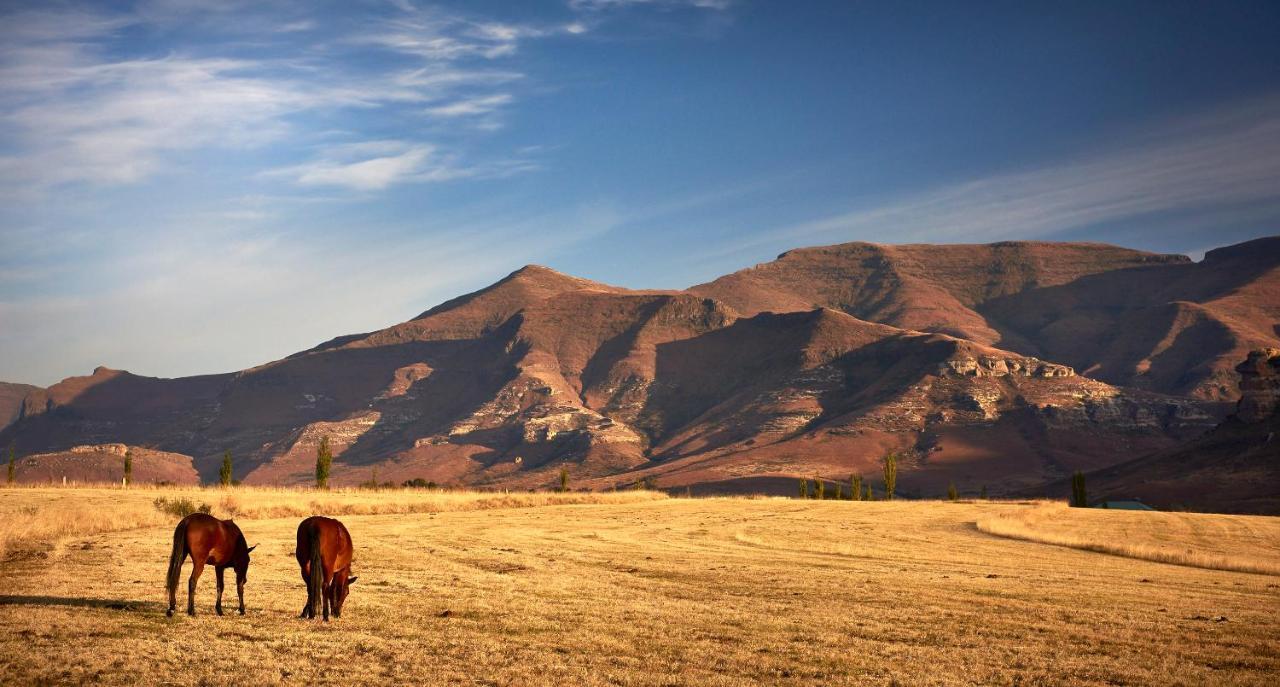 Dynasty Red Mountain Ranch Apartment Clarens Exterior photo