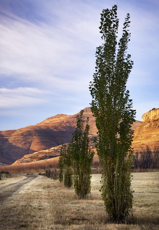 Dynasty Red Mountain Ranch Apartment Clarens Exterior photo